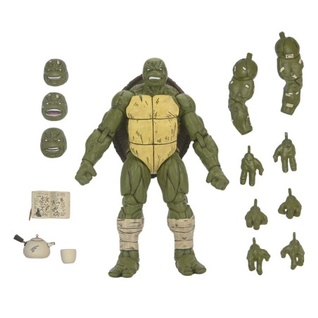 Teenage Mutant Ninja Turtles: Battle Damaged Ronin (The Last