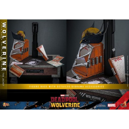 Hot Toys: Deadpool & Wolverine - Wolverine (TVA Jacket) 1:6