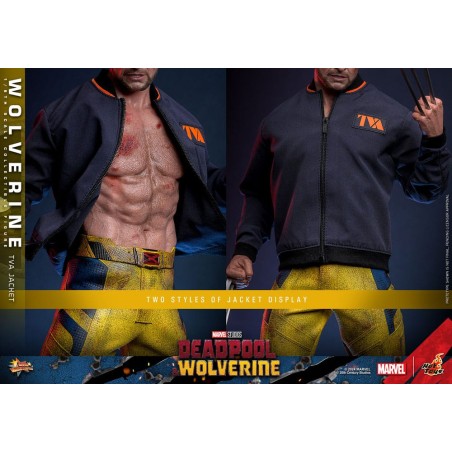 Hot Toys: Deadpool & Wolverine - Wolverine (TVA Jacket) 1:6