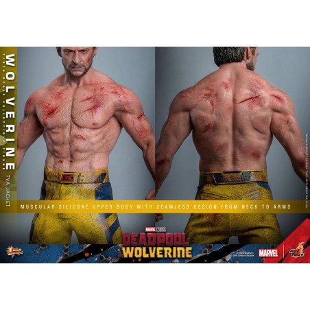 Hot Toys: Deadpool & Wolverine - Wolverine (TVA Jacket) 1:6