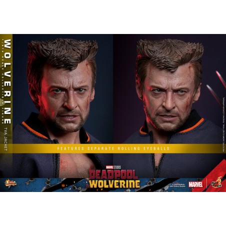 Hot Toys: Deadpool & Wolverine - Wolverine (TVA Jacket) 1:6