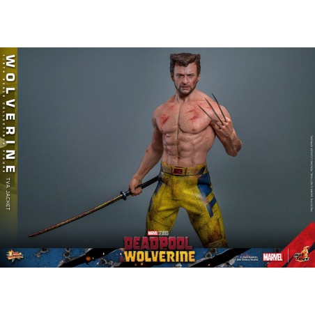 Hot Toys: Deadpool & Wolverine - Wolverine (TVA Jacket) 1:6