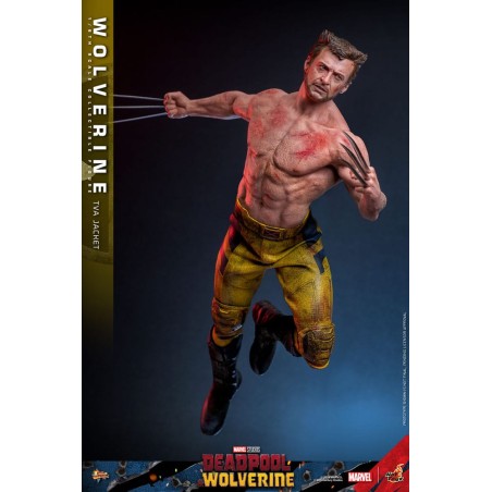 Hot Toys: Deadpool & Wolverine - Wolverine (TVA Jacket) 1:6