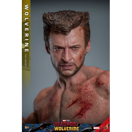 Hot Toys: Deadpool & Wolverine - Wolverine (TVA Jacket) 1:6