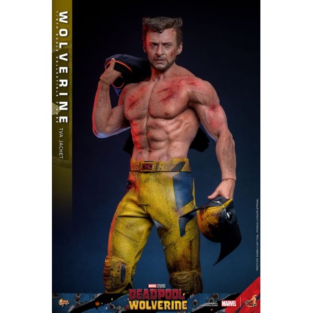 Hot Toys: Deadpool & Wolverine - Wolverine (TVA Jacket) 1:6