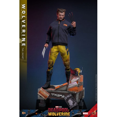 Hot Toys: Deadpool & Wolverine - Wolverine (TVA Jacket) 1:6