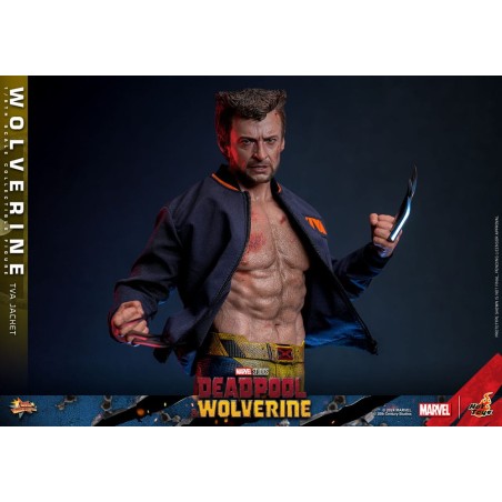 Hot Toys: Deadpool & Wolverine - Wolverine (TVA Jacket) 1:6