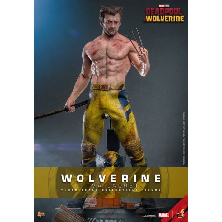 Hot Toys: Deadpool & Wolverine - Wolverine (TVA Jacket) 1:6