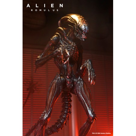 NECA Alien: Romulus - Ultimate Scorched Xenomorph Action Figure