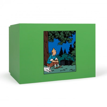 Tintin: Sitting on the grass Statue 18 cm