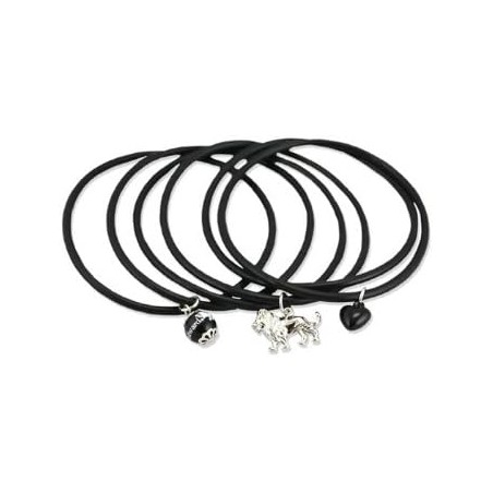 Twilight New Moon: Edward Lion Jelly Bangles