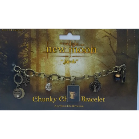 Twilight New Moon: Jacob Charm Bracelet