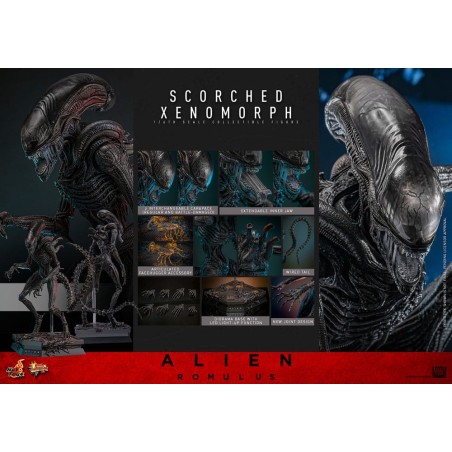 Hot Toys Alien Romulus: Scorched Xenomorph 1/6 Scale Figure 44