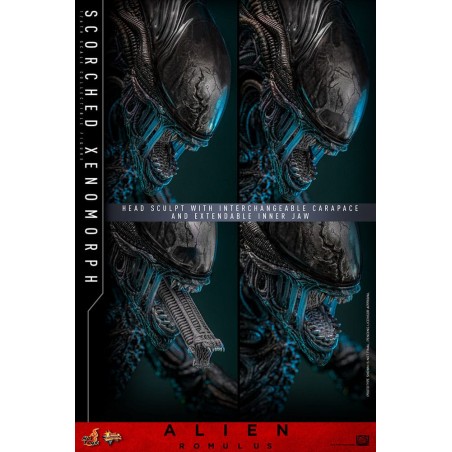 Hot Toys Alien Romulus: Scorched Xenomorph 1/6 Scale Figure 44