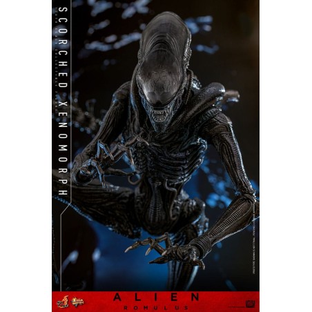 Hot Toys Alien Romulus: Scorched Xenomorph 1/6 Scale Figure 44