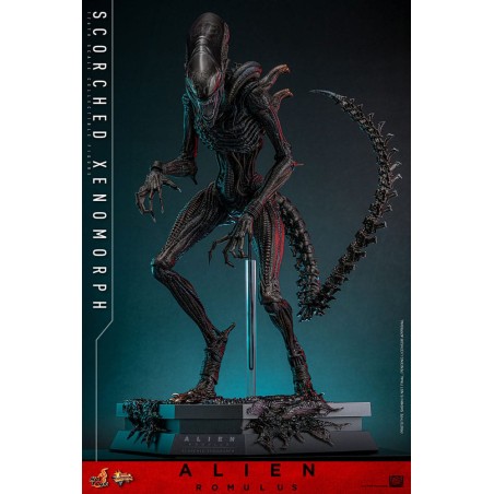 Hot Toys Alien Romulus: Scorched Xenomorph 1/6 Scale Figure 44