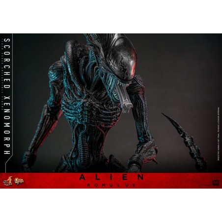 Hot Toys Alien Romulus: Scorched Xenomorph 1/6 Scale Figure 44