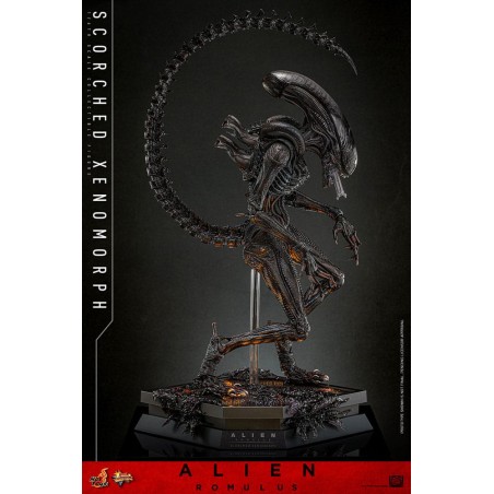 Hot Toys Alien Romulus: Scorched Xenomorph 1/6 Scale Figure 44