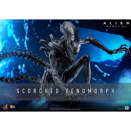 Hot Toys Alien Romulus: Scorched Xenomorph 1/6 Scale Figure 44