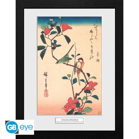 Framed Poster: Japanese White-eye and Titmouse 30 x 40 cm