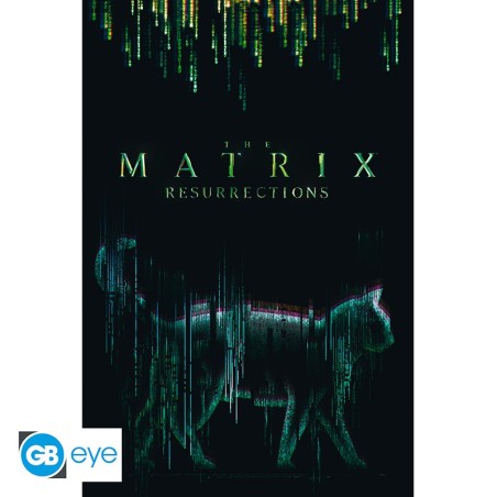 Poster: The Matrix Resurrections